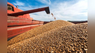 'Ўзбекистон Қозоғистондан экспорт қилинадиган буғдойнинг ярмини сотиб олди'ning rasmi