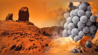 'Gruziya Marsda uzum etishtirmoqchi (Video)'ning rasmi