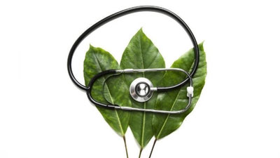 Изрображение 'УТВЕРЖДЕНА ПРОГРАММА МОНИТОРИНГА ОКРУЖАЮЩЕЙ СРЕДЫ ДО 2020 ГОДА'