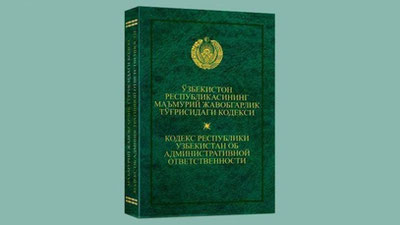 Изрображение 'С какого возраста лица подлежат административной ответственности?'