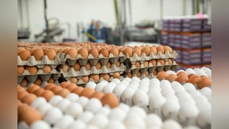 'Rossiya Qozog`istondan tuxum so`radi'ning rasmi