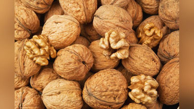 'YoNG`OQ — MASTOPOTIYaDA FOYDALI!'ning rasmi