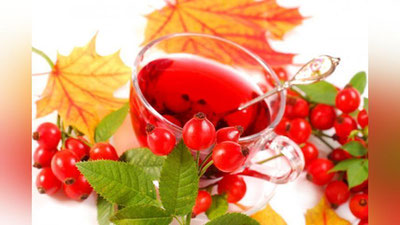 'NA`MATAK — IMMUNITETNI MUSTAHKAMLAYDI'ning rasmi