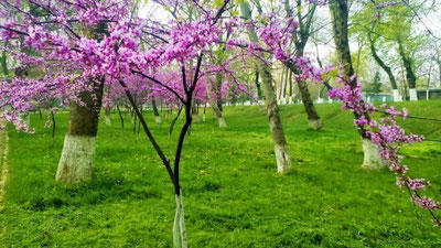 'Якшанба куни қандай об-ҳаво кутилмоқда?'ning rasmi