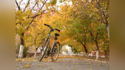 '5 oktyabr kuni mamalakatimizda qanday ob-havo kutilmoqda?'ning rasmi