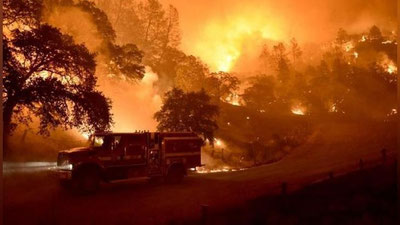 'Tramp o`rmon yong`inlari uchun aybdorlarni ma`lum qildi 'ning rasmi
