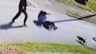 Изрображение 'ВОИНСТВУЮЩИЙ КОТ АТАКОВАЛ БУЛЬТЕРЬЕРА И ЕГО ХОЗЯИНА НА УЛИЦЕ (ВИДЕО)'