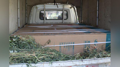 'Xashaklar ortida nima yashirilgan edi? 'ning rasmi