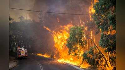 Изрображение 'В Канаде эвакуируют людей из-за лесных пожаров'