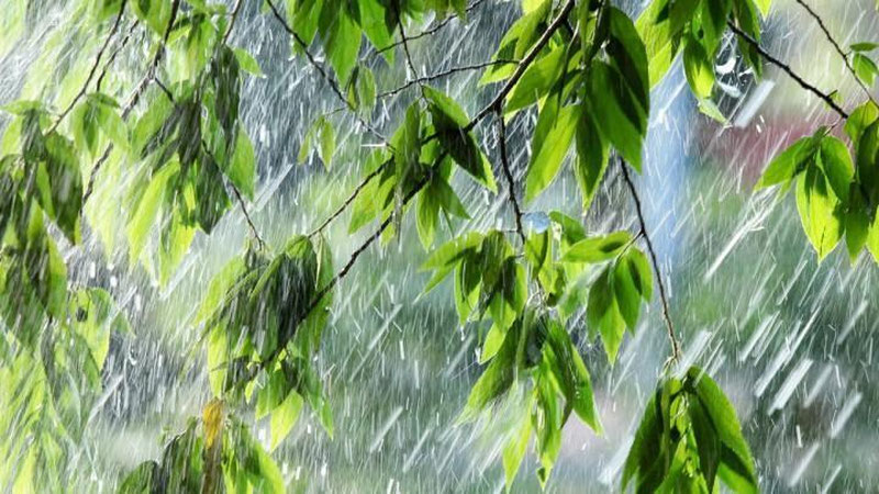 'O`zbekiston bo`ylab kuchli yomg`ir yog`ishi kutilmoqda'ning rasmi