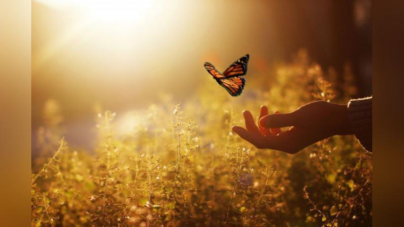 '​BAXTLI HAYoT SARI 7 QADAM!'ning rasmi