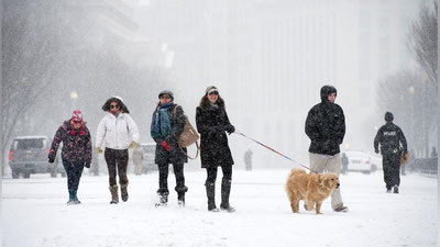 'AMERIKADA  SOVUQ  HAVO  HARORATI  TUFAYLI  ODAMLAR HALOK  BO`LDI'ning rasmi