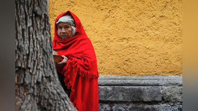 'Мексикалик аёллар  дарахтларга  турмушга  чиқишди  'ning rasmi