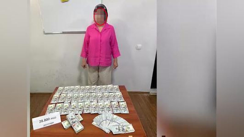 'ДХХ: АҚШга ноқонуний юборишни ваъда қилган шахслар ушланди'ning rasmi