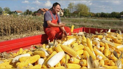 'Ўзбекистонликлар Сербиядаги қишлоқ хўжалиги ишларига таклиф этилмоқда'ning rasmi