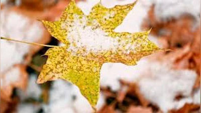 'Ertaga qanday ob-havo kuzatiladi?'ning rasmi