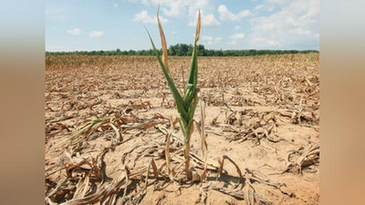 '196 mamlakat vakillari  Samarqandda erlarni tiklash masalalarini muhokama qilishadi (video)'ning rasmi