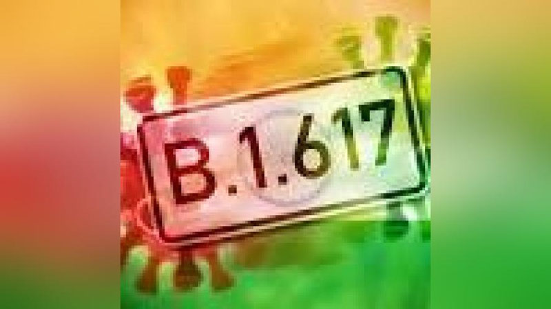 '"53 davlatda". JSST Hindistonda tarqalgan shtamm aniqlangan mamlakatlarni e`lon qildi'ning rasmi