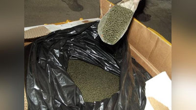 'Toshkentda nosvoy tayyorlanadigan yashirin sex faoliyatiga chek qo`yildi'ning rasmi