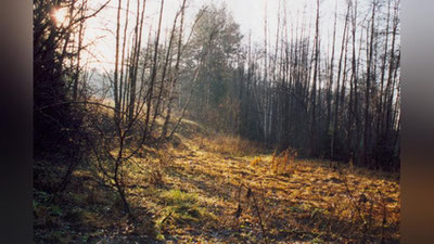 'Бугун Ўзбекистонда қандай об-ҳаво кузатилади?'ning rasmi