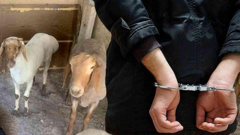 'Наманганда муқаддам судланган шахс яна ўғирликка қўл урди'ning rasmi