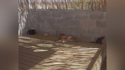 Изрображение 'В полевом сарае в Бухаре нашли брошенного в аномальную жару ребенка'