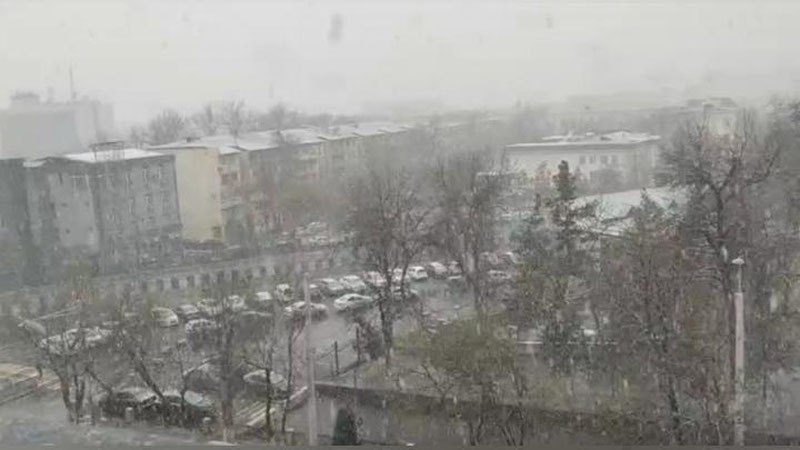 Изрображение 'В Ташкенте временами осадки: погода на 16 января'