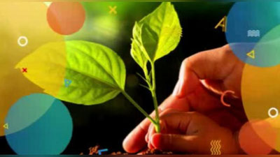 Изрображение 'Добровольцев позвали на акцию по уборке и озеленению Ташкента'