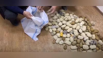 Изрображение 'В Ташкентской области изъяли 77 кг наркотиков, замаскированных под картофель (видео)'
