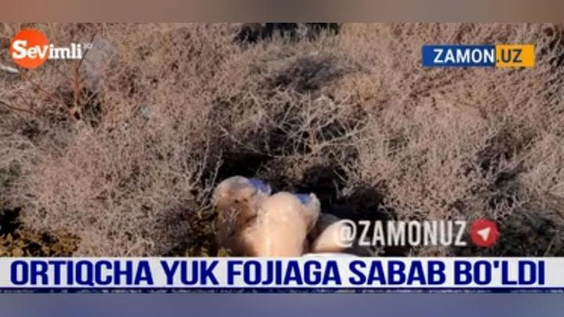 Изрображение 'Игрушка на дороге стала причиной гибели двух человек в Кашкадарье (видео)'
