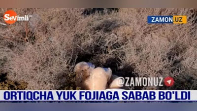 Изрображение 'Игрушка на дороге стала причиной гибели двух человек в Кашкадарье (видео)'