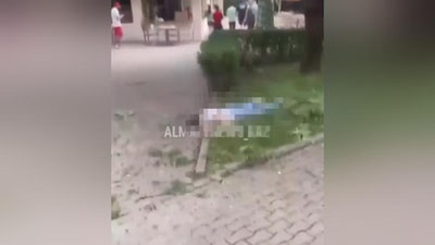 Изрображение 'В Алматы женщина спрыгнула с колеса обозрения'