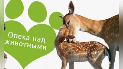 Изрображение 'Ташкентский зоопарк запустил программу опекунства над животными'