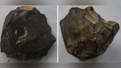 Изрображение 'На юге Узбекистана обнаружен новый памятник эпохи среднего палеолита'