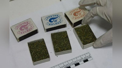 'Qashqadaryoda marixuanani “Spichki”ga yashirgan fuqaro aniqlandi'ning rasmi