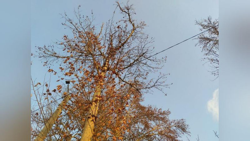 Изрображение 'Сегодня в Узбекистане будет тепло и солнечно: погода на 14 февраля'