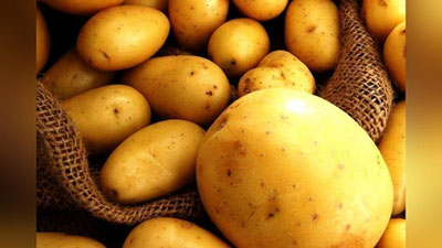 Изрображение 'Пакистан стал крупнейшим импортером картофеля в Узбекистане'