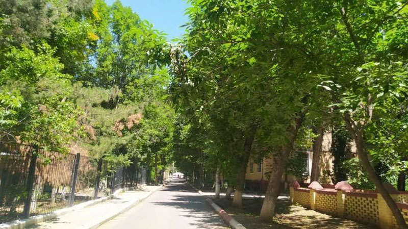 Изрображение 'В Ташкенте воздух прогреется до +28: погода на 28 мая'