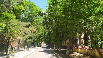 Изрображение 'В Ташкенте воздух прогреется до +28: погода на 28 мая'