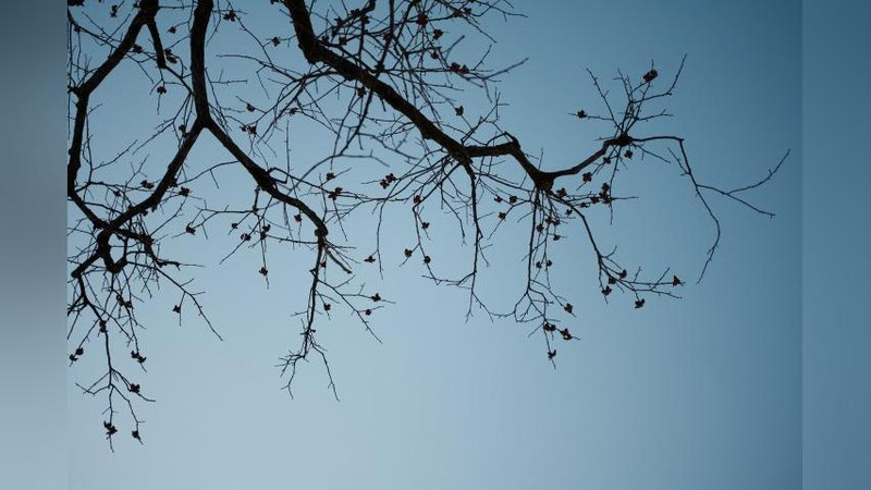 'Эртага Ўзбекистон бўйлаб кутилаётган об-ҳаво прогнозлари эълон қилинди'ning rasmi