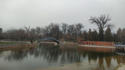 Изрображение 'Сегодня узбекистанцев ожидает теплый день перед похолоданием'