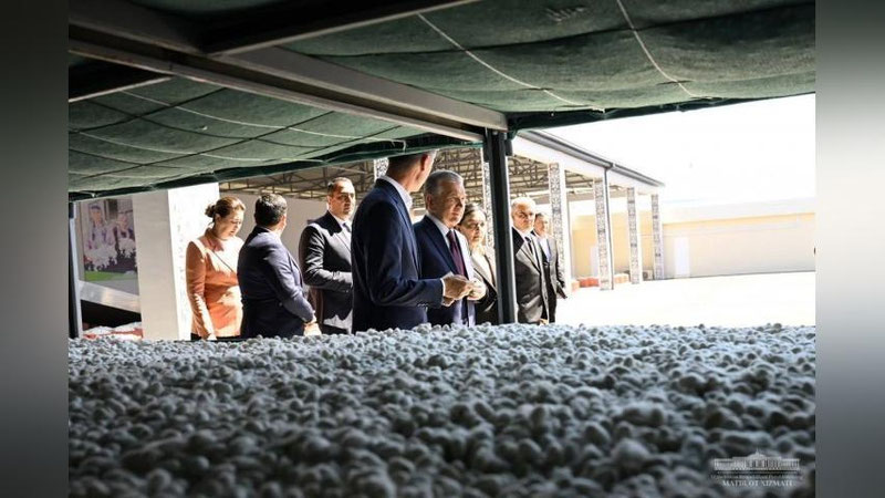 'Shavkat Mirziyoev ipakchilik korxonasini ko`zdan kechirdi'ning rasmi