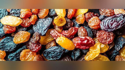 'O`zbek tadbirkorlari Fransiyada qo`shma korxona ochmoqchi'ning rasmi