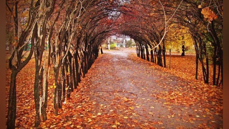 'Ботаника боғининг Тошкент шаҳар ҳокимлиги балансига ўтказиш ишига Экология вазирлиги ҳам аралашганми?'ning rasmi