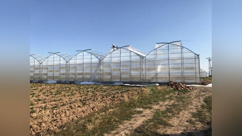 'Ўзбекистондаги иссиқхоналар фалокат ёқасидами? Вазирлик изоҳ берди'ning rasmi