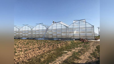 'Ўзбекистондаги иссиқхоналар фалокат ёқасидами? Вазирлик изоҳ берди'ning rasmi