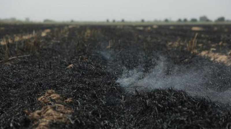 'Surxondaryoda g`alladan bo`shagan erlarni yoqib yuborgan fermer xo`jaliklari aniqlandi'ning rasmi