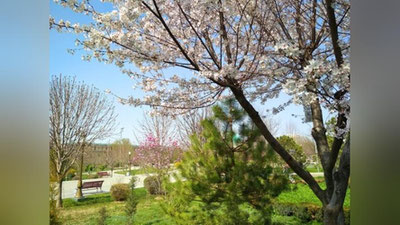 'Bugun O`zbekistonda harorat 27°gacha isiydi'ning rasmi