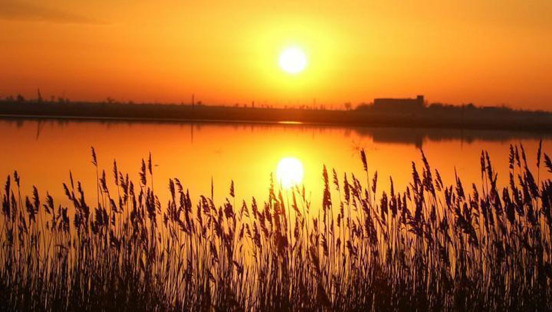 'Rossiyaliklar bilan hamkorlikda tayyorlanayotgan “Quyosh lazzati”ning O`zbekistondagi s`yomka jarayonlari tugadi'ning rasmi