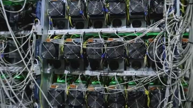 'Samarqandda yana mayning ferma tashkil qilgan shaxs ushlandi'ning rasmi